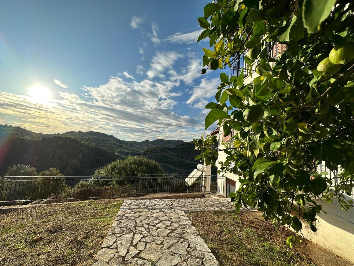 Villa Bacchus Archea Pissa