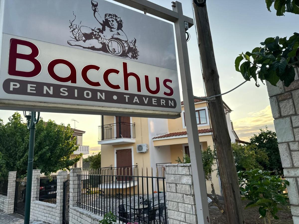 Villa Bacchus *